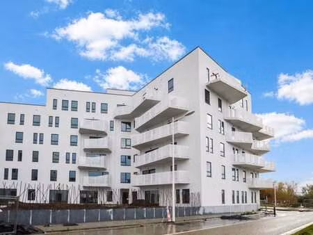 delfimmo - studio tres recent avec parking