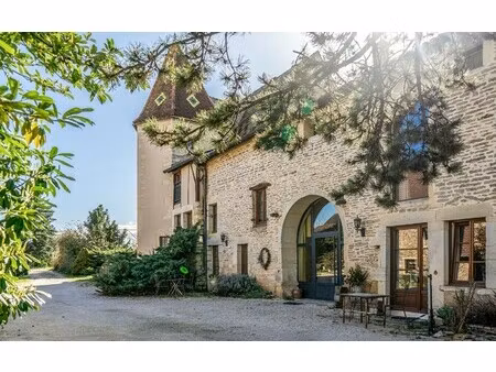 château à vendre à dijon