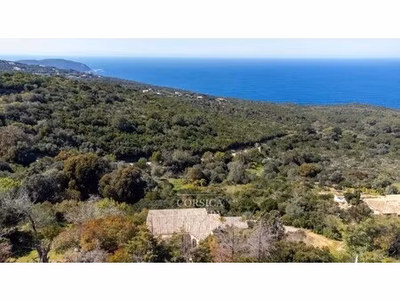 maison de luxe à vendre à coti-chiavari