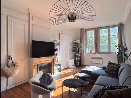 coeur de st jean, agréable t2 63m2 esprit loft vue saône