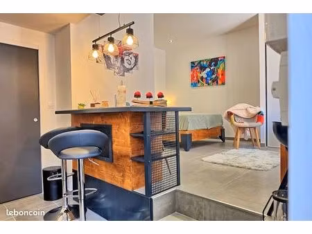 t1 meublé de charme hyper centre