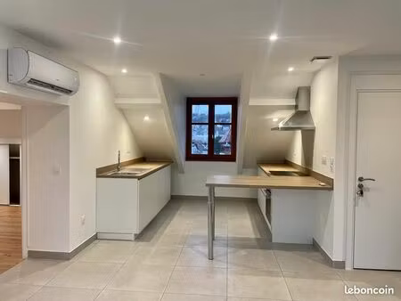 t3 renove chambery avec jardin