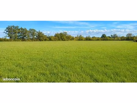 terrain 62800 m² saint amand montrond