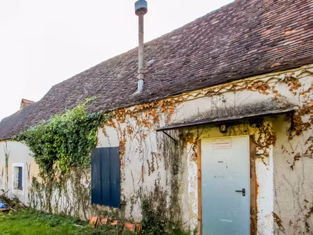 maison à vendre à saint-félix-de-villadeix (24510) - dordogne