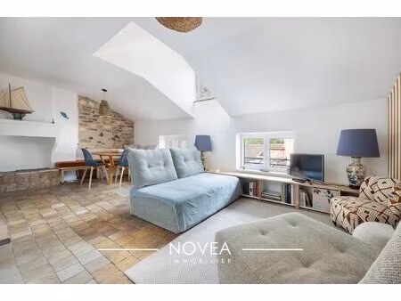 charmant t2 rénové vue sur la saône