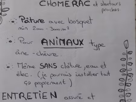 cherche terrain à louer