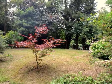appartement 2 ch. watermael-boitsfort, jardin verdoyant