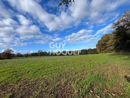 vente terrain à trédion (56250) : à vendre / 236840m² trédion