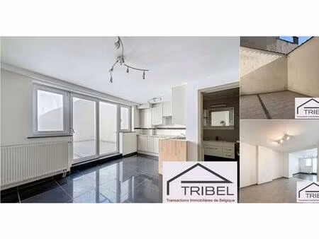appartement à louer à rue champ du roi 27 etterbeek (vbe15598)