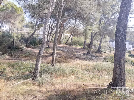 beau terrain dans un environnement paisible et pratique