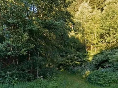 forêt 4 hectares