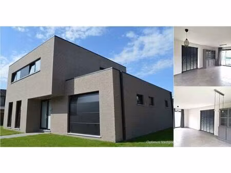 maison à louer à achelsendijk 9 neerpelt (rbv84909)