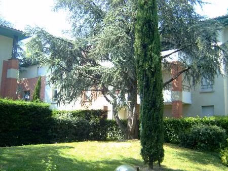 location appartement 2 pièces 33m² toulouse 31400