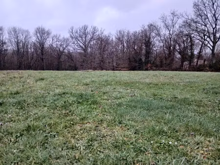 vente terrain 4000 m² ribérac (24600)