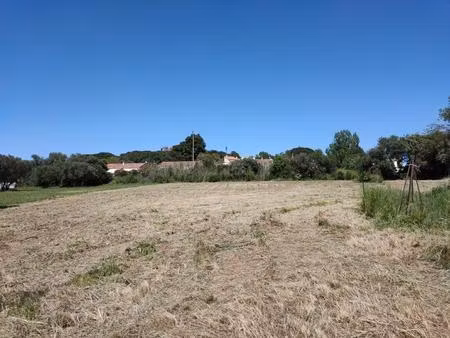 terrain agricole