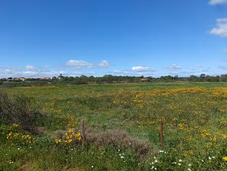 a vendre terrain agricole