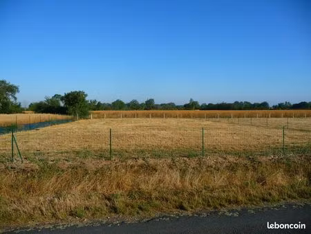 terrain constructible