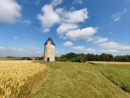 moulin autonome avec terrain et vue dégagée