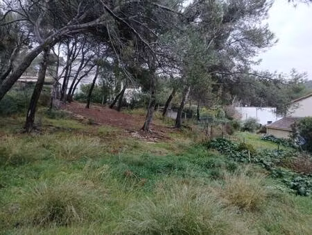 terrain constructible viabilisé à vendre