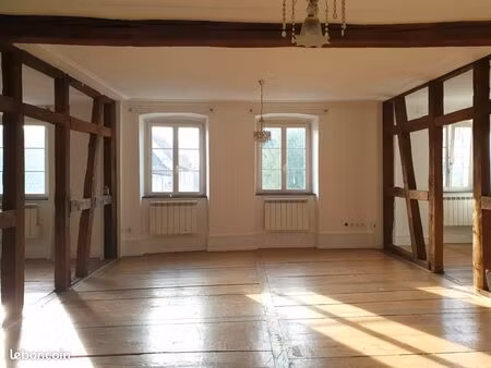 superbe appart 6 p duplex de charme, avec terrasse et parkings