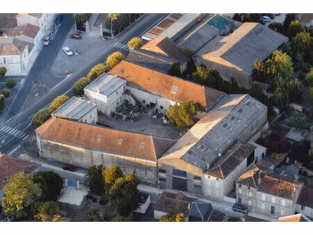 opportunité commerciale avec 3 logements