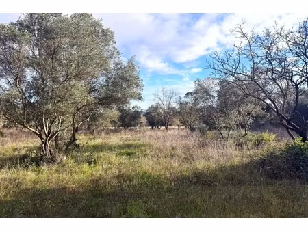 annonce terrain à vendre