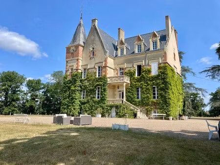 vente château 10 pièces