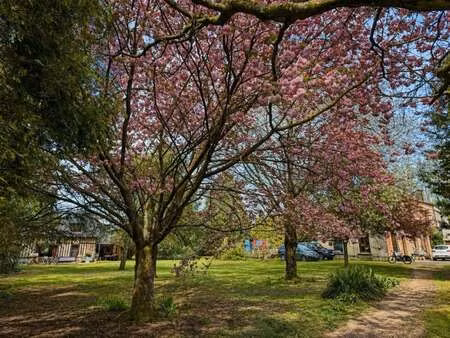 vente maison piscine à pont-l'évêque (14130) : à vendre piscine / 400m² pont-l'évêque