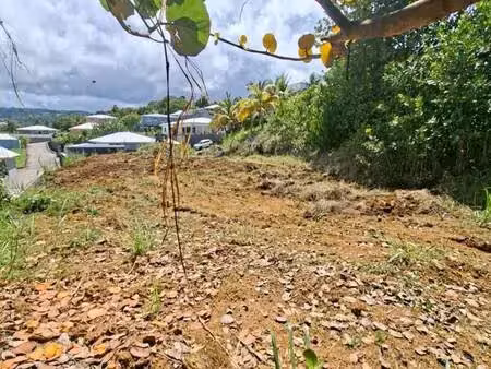 terrain constructible viabilisé à vendre