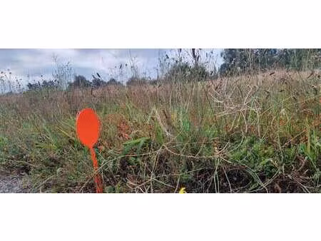 vente terrain au fenouiller (85800) : à vendre / 358m² le fenouiller