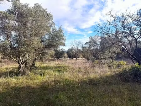 terrain à vendre à uzès : 595 000 € | 5000m²