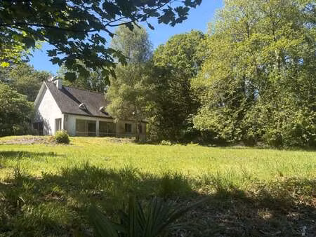 vente maison à plomelin (29700) : à vendre / 146m² plomelin