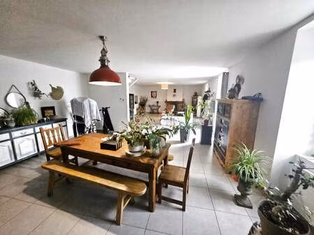 vente maison à soudan (44110) : à vendre / 200m² soudan
