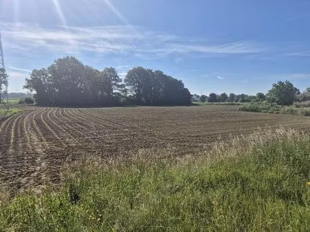 terrain à vendre à leut € 14.900 (lok3t) - sensimmo | zimmo