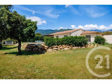 maison de luxe à vendre à porto-vecchio