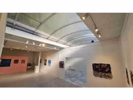 atelier / galerie d' art lumineux 240m²