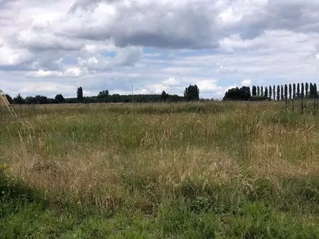 vente terrain 881 m² à huisseau-sur-cosson (41350), 81 000 €