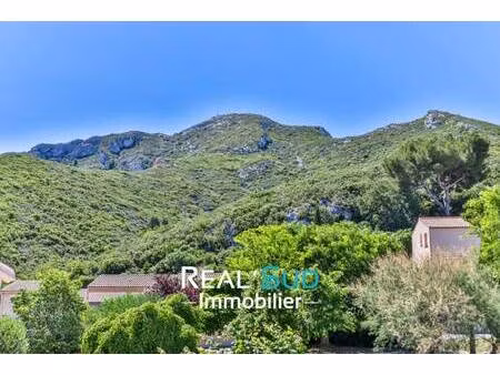 real'sud immobilier