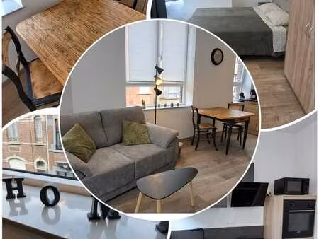 appartement meublé 1 ch à visé