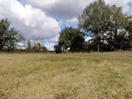 vente terrain à cuzance (46600) : à vendre / 3000m² cuzance