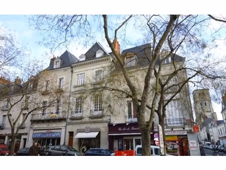location appartement, m² t-1 à tours, 408 €