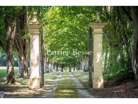 patrice besse