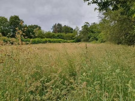 vente terrain à pleuven (29170) : à vendre / pleuven