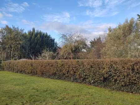 vente terrain à nantes (44000) : à vendre / nantes