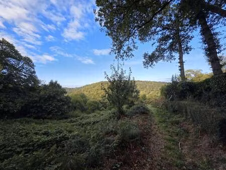 vente terrain à melgven (29140) : à vendre / melgven