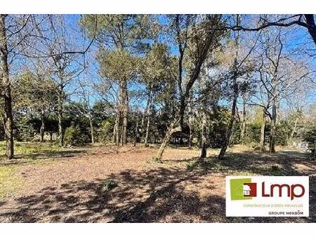 terrain constructible à vendre