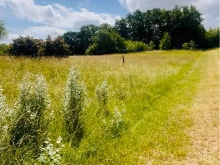 terrain constructible viabilisé 3000m2
