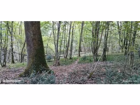 fôret 0,5 ha
