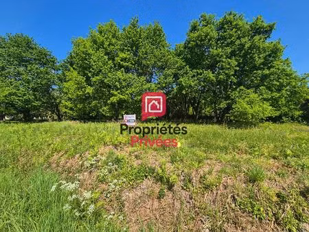 ensemble foncier 14 321 m2 - 2 terrains constructibles + bois attenant