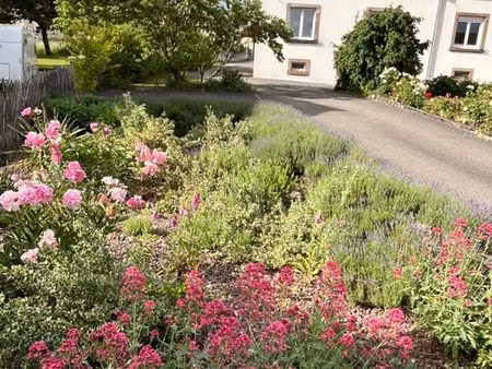 location maison ippling